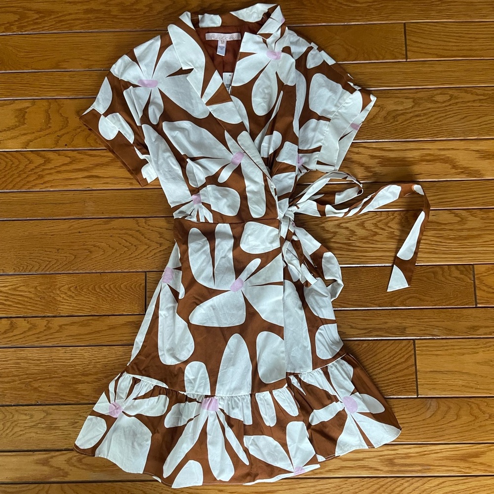 Hutch Brown and White Floral Mini Dress